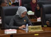 Pemerintah Pusat Hadirkan Kementerian Ekonomi Kreatif, Anggota DPRD  Tidore Nurul Asnawiah Ini Peluang Bagus Untuk Pergerakan Ekraf di Daerah