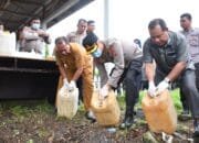 Polresta Tidore Musnahkan Barang Bukti Miras Hasil Operasi Pekat