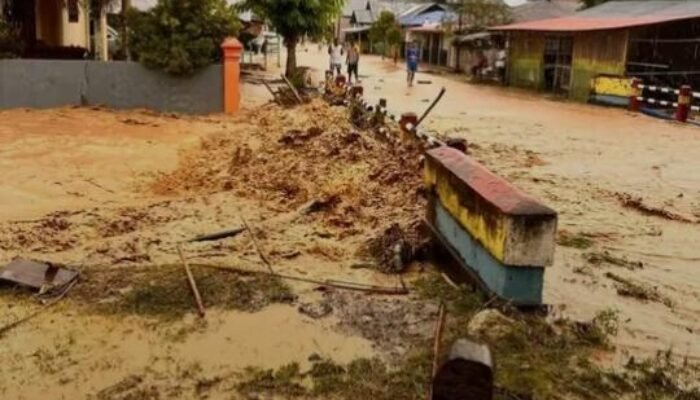 Sula Kembali Masuk Daerah 3T, Diterjang Banjir, dan Dokter Mogok: Tiga Luka di Tubuh Daerah Tertinggal