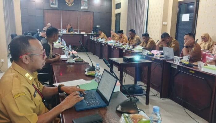 APBD- P Tahun 2025 Sektor Kesehatan Jadi Prioritas