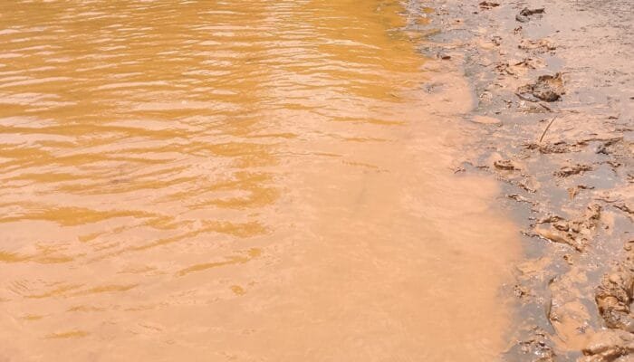 Teluk Buli yang Luka: Pabrik Baterai Dibangun di Atas Kehancuran Ekologis