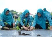 TP PKK Tidore Dukung Ketahanan Pangan Lewat Gerakan Tanam Cabai Serentak