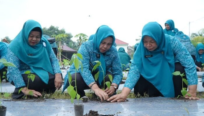 TP PKK Tidore Dukung Ketahanan Pangan Lewat Gerakan Tanam Cabai Serentak