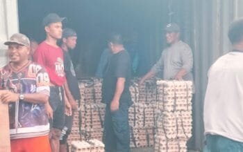 Kontainer Telur Tiba di Ternate, Gubernur Sherly Arahkan Pemantauan Intensif Stok Jelang Lebaran