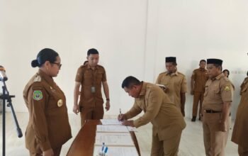 Bupati Taliabu Sashabila Mus Rotasi 42 Jabatan; Bersih-Bersih Restrukturisasi