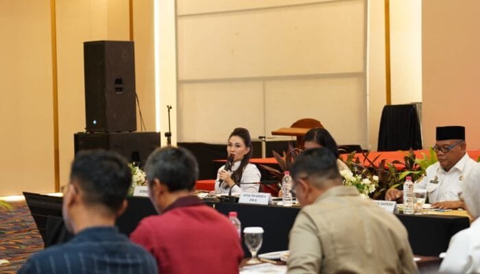 Gubernur Sherly Usulkan Infrastruktur Rp2,9 Triliun, Desak Pemerataan Ekonomi Maluku Utara