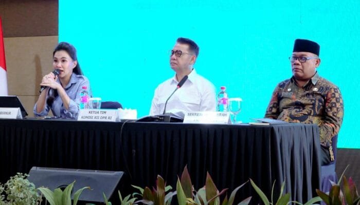 Pemprov Malut Perjuangkan Tambahan Kuota BBM dan LPG di Hadapan DPR RI