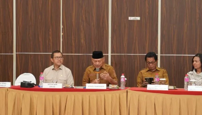Kunker ke Malut, Wagub Sampaikan Tiga Catatan Strategis ke BAM DPR RI