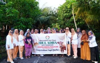 DWP Tidore Salurkan 2 Ekor Sapi Kurban untuk Iduladha 1447 H