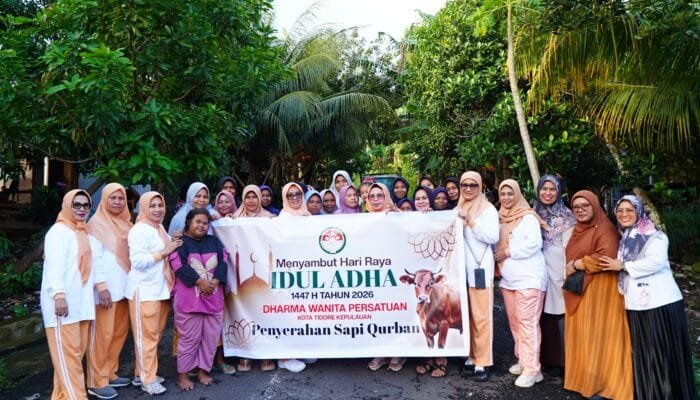 DWP Tidore Salurkan 2 Ekor Sapi Kurban untuk Iduladha 1447 H