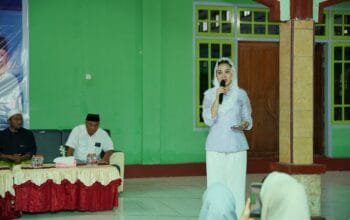 Pemprov Malut Siapkan 100 Ekor Sapi Kurban Jelang Idul Adha