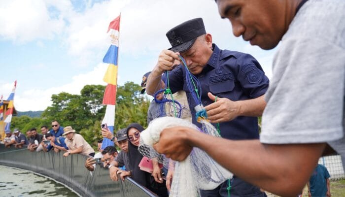 Panen Perdana Udang Vaname di Tuada Capai 1,5 Ton, Pemprov Malut Dorong Ekonomi Pesisir