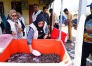 PKK Tidore Bantu Pemasaran Udang Vaname di Kelurahan  Dowora