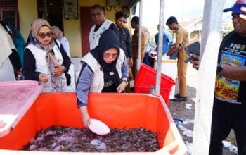 PKK Tidore Bantu Pemasaran Udang Vaname di Kelurahan Dowora