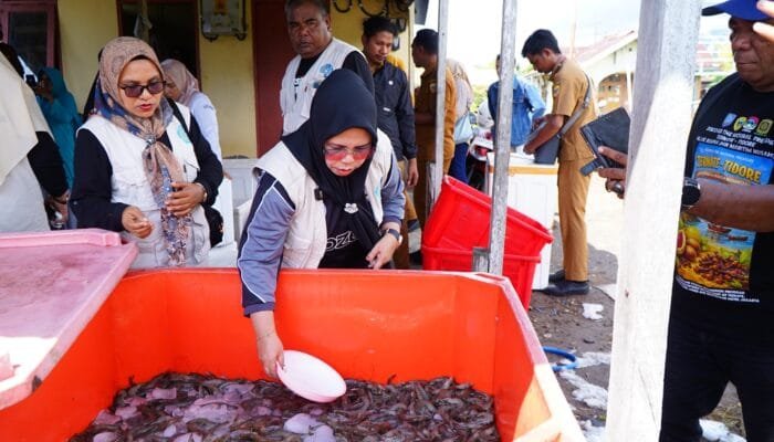 PKK Tidore Bantu Pemasaran Udang Vaname di Kelurahan  Dowora