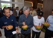 Maluku Utara Menjadi Fokus Percepatan Industrialisasi Nasional
