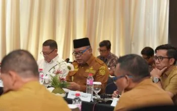 Sekprov Malut Buka Konsultasi Publik Perkada Pengendalian Pemanfaatan Ruang, Dorong Kepastian Hukum Investasi