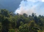 Hadapi Fenomena El Nino, BPBD Tidore Keluarkan Himbauan Antisipasi