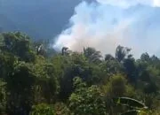 Hadapi Fenomena El Nino, BPBD Tidore Keluarkan Himbauan Antisipasi