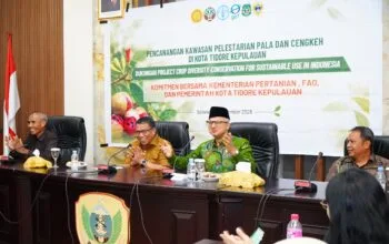 Pemkot Tidore Perkuat Konservasi Pala dan Cengkeh Bersama FAO