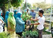 TP-PKK Tidore Nilai Lomba Gempar, Dorong Pemanfaatan Pekarangan untuk Ketahanan Keluarga